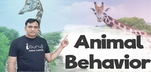 ANIMAL BEHAVIOR