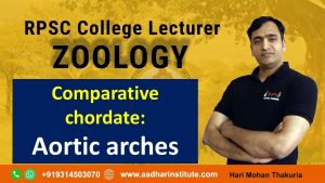 Comparative Chordate : Aortic Arches